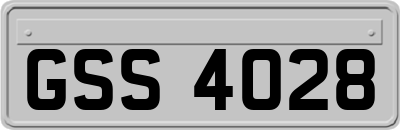 GSS4028