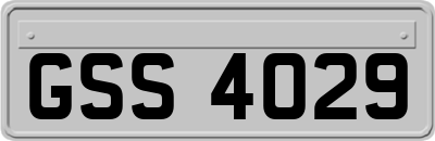 GSS4029