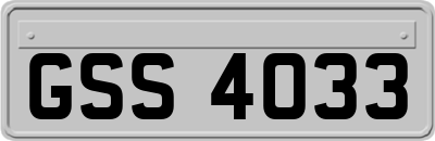 GSS4033
