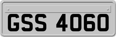GSS4060