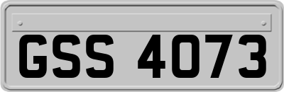 GSS4073