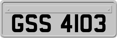GSS4103