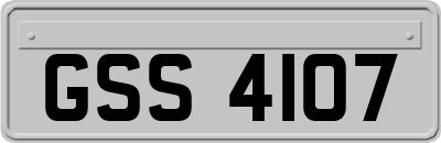 GSS4107