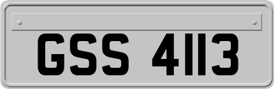 GSS4113