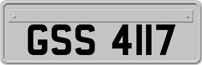 GSS4117