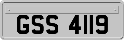 GSS4119