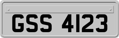 GSS4123