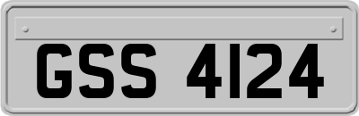 GSS4124