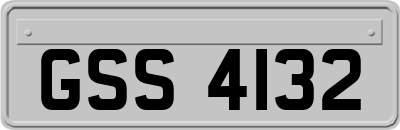 GSS4132