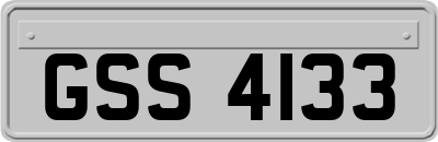 GSS4133