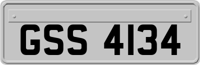 GSS4134