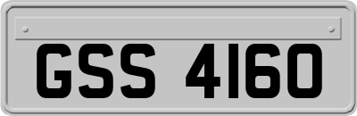 GSS4160