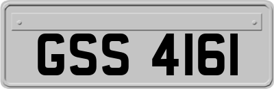 GSS4161