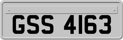 GSS4163