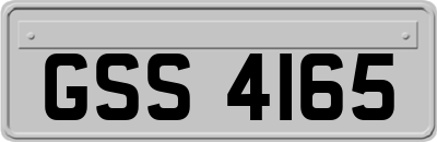 GSS4165