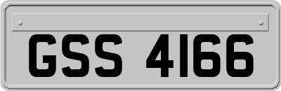 GSS4166