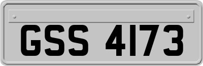 GSS4173