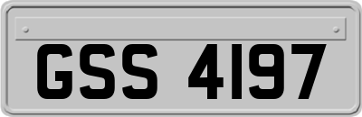 GSS4197