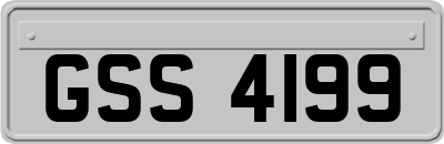 GSS4199
