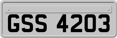 GSS4203