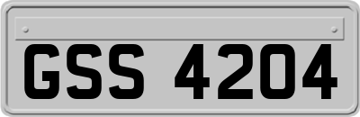 GSS4204