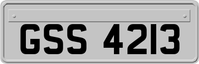 GSS4213