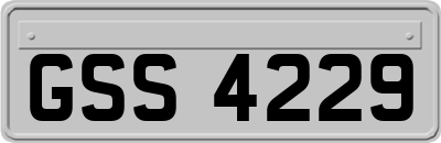 GSS4229