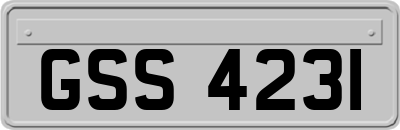GSS4231