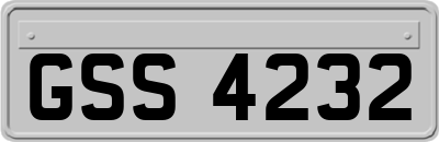 GSS4232