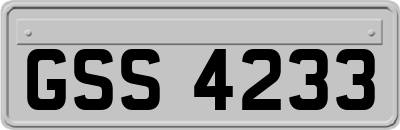 GSS4233