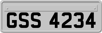 GSS4234