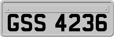 GSS4236