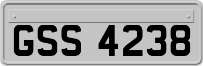 GSS4238