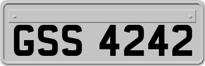 GSS4242
