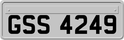 GSS4249