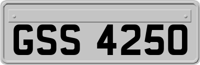 GSS4250