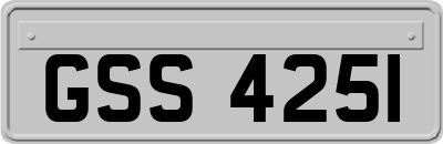 GSS4251