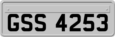 GSS4253