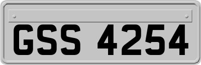 GSS4254