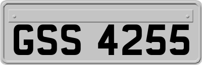 GSS4255
