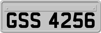GSS4256
