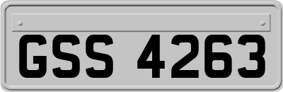 GSS4263