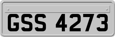 GSS4273