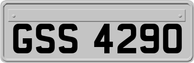 GSS4290