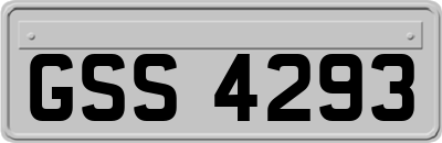 GSS4293