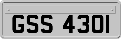 GSS4301