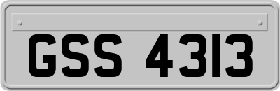 GSS4313