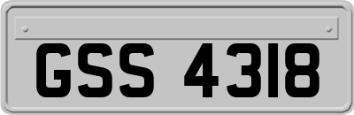 GSS4318