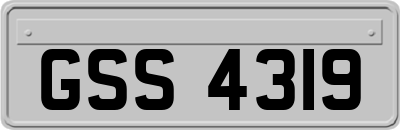 GSS4319