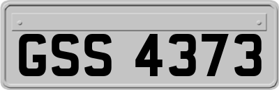 GSS4373